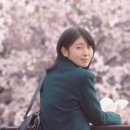 [‘너의 췌장을 먹고 싶어’ 리뷰] 시한부 소녀와 벚꽃 같은 사랑…한편의 아름다운 ‘철학적 우화’ 이미지