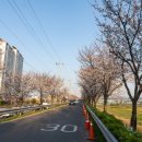 낙동강체육공원 1주차장 화장실 이미지