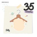 오초펜션 | 35-36주차 임산부일상(막달검사, 1주년기념)