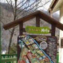 잉꼬농원 | 강원도 평창 가볼만한곳) 허브나라 농원