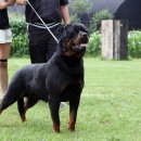 쥬쥬클럽 이미지