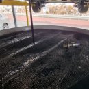 풍무카서비스 이미지