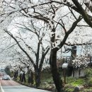 화개119지역대 이미지