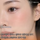 페이스메이트 | 3CE 컬러 페이스 블러쉬 내돈내산 후기 메이플토스트블러쉬 발색 리뷰