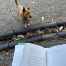 스테이 니와 이미지