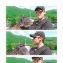 청춘의어부