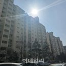 우성 이미지