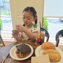 카카 | 어린이효소 카카홀릭 후기 | 잘 체하는 아이 먹여본 솔직 변화