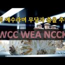 오직 예수라며 무당과 춤을 추나? WCC, WEA, NCCK, 종교 다원주의의 실체 이미지