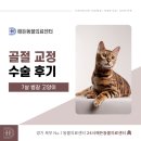천보자동차센타 | 의정부동물병원, 7살 벵갈 고양이 골절 교정 수술 후기