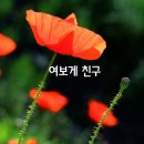여보게 친구 이미지