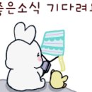 골든브릿지공인중개사사무소 네이버블로그