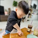 더냐옹