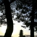 왕궁리유적 이미지