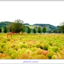 우산공원 주차장 이미지