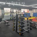 용인대 강원유도장 이미지