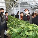 거창농장 이미지