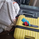 파인댕스 | [미국생활 프리퀄] 피서는 미국으로, 인천에서 미니애폴리스를 거쳐 오마하로! + CR1 진행 중 입국심사...