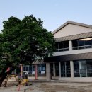 상교동주민센터 이미지