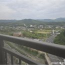 보금자리부동산중개 | 부동산 거래의 든든한 동반자, 신부힐스테이트까지 책임지는 장선생부동산중개