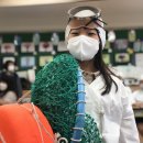 한마음초등학교 이미지