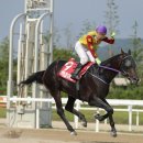 대승축산 이미지