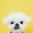 세미살롱 이미지