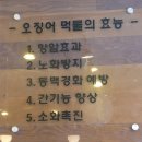 주식회사 독도문방구 | 울릉도여행후기 기념품/선물추천 독도문방구 오징어먹물 오브레