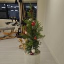 이원길 | 운동초보의 첫 필라테스 도전기! 동해 해든필라테스&amp;자이로토닉 방문 후기