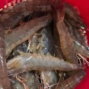 바람의마을 손칼국수 이미지