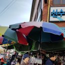 삼천포 용궁수산시장#4 이미지
