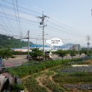 희승농장 Daum카페