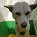 병점4로 이미지