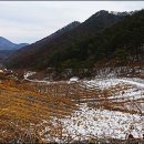 보발1리 마을회관 이미지