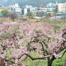 조산공원길 이미지