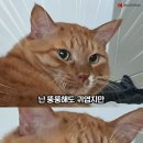 피티필드 전포 이미지