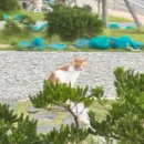 해송피크닉장 이미지