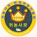 단영 마늘 종자(판매완료) 이미지