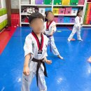 청호태권도장 이미지