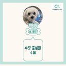 백호동물병원 이미지