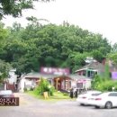 동강의 향기 이미지