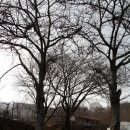 소나무경로당 이미지