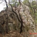 표교초교 | (139차) 이천 도드람산-설봉산 산행후기사진 (2012.04.29(일))