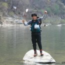 황금향어 이미지