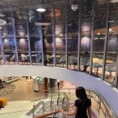 호텔투나잇 | 부산출발크루즈여행 추천 여행특공대 팬스타 투나잇크루즈 타고 다녀온 2박3일 오사카 리얼 후기