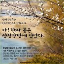 ♣4/1~2(금/토) 광양 백운산 산행과 쌍계사 벚꽃십리길과 화개장터 & 지리산 10경 불일폭포(스탬프) 이미지