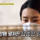 금치농장 이미지