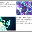 구로-구로-구로-1633 이미지