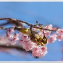 배화학교 이미지