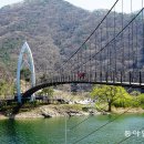 연하엽구름다리 이미지